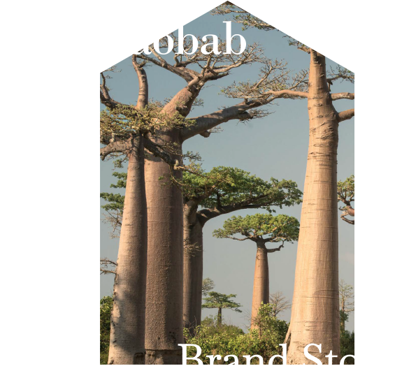 milk baobab brand story